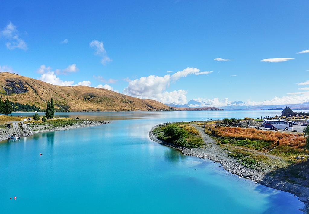 新西兰留学|新西兰热门专业