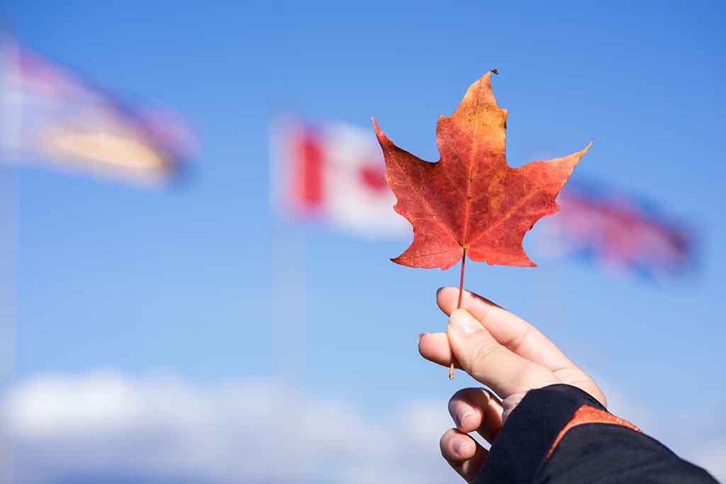 加拿大留学|新闻专业