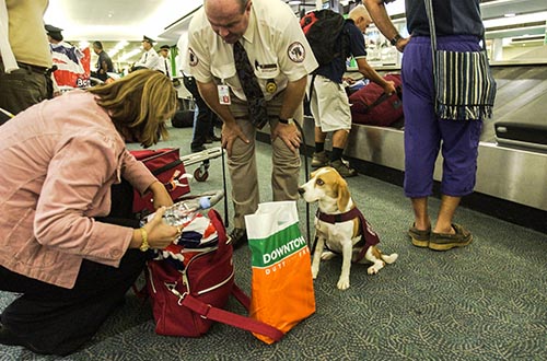 爱尔兰留学|机场安检