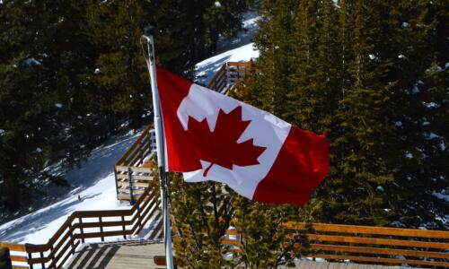 加拿大留学|加拿大本科申请