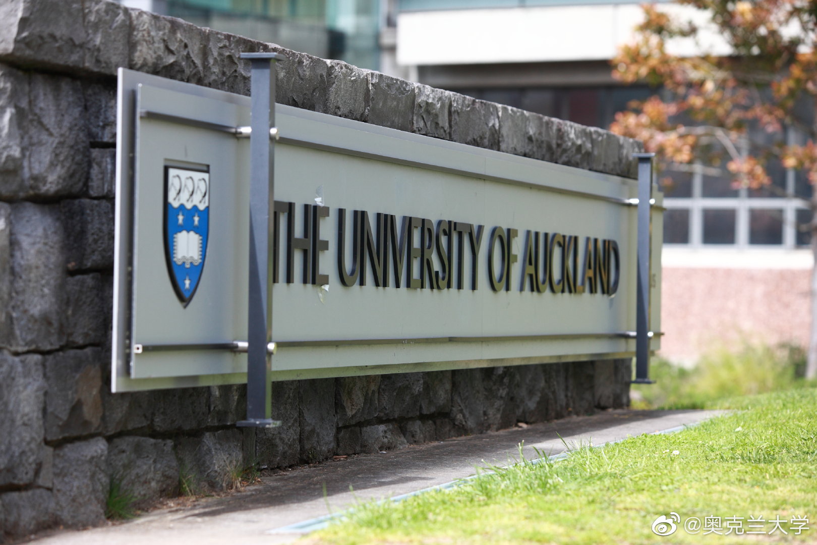 奥克兰大学|新西兰留学