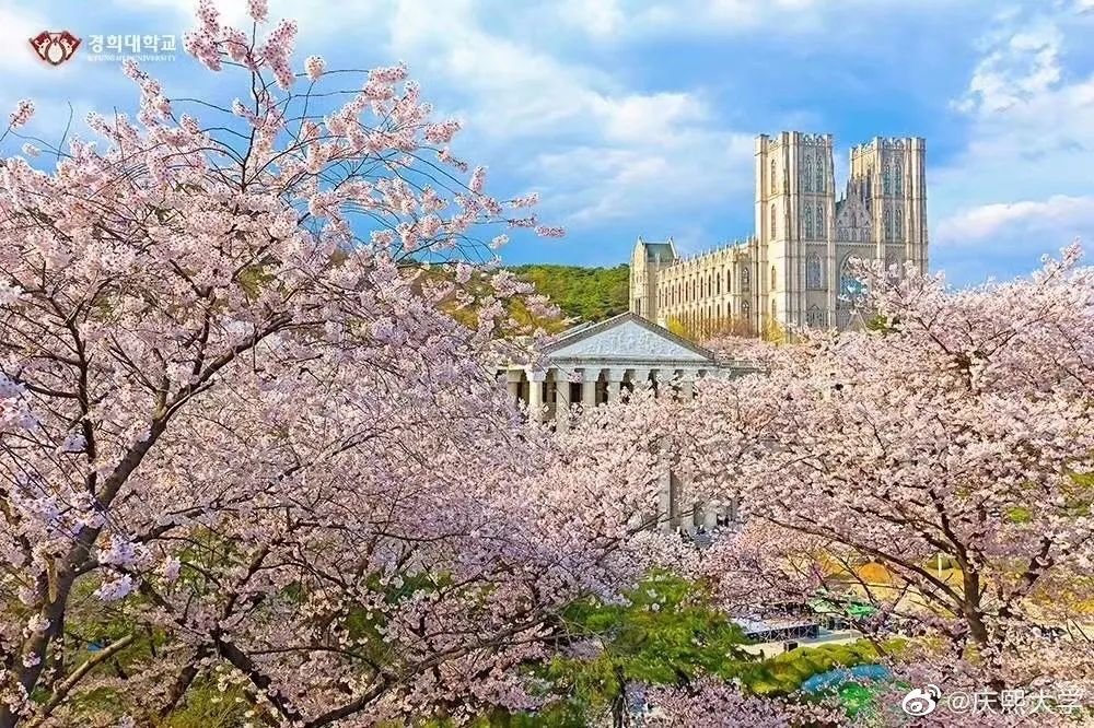 韩国留学|韩国留学签证