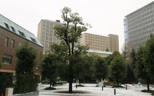 日本早稻田大学