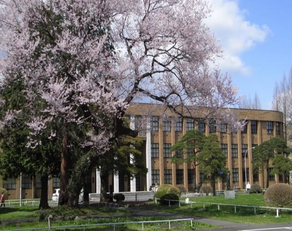 东北大学(日本)