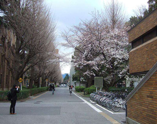 京都大学校园风采
