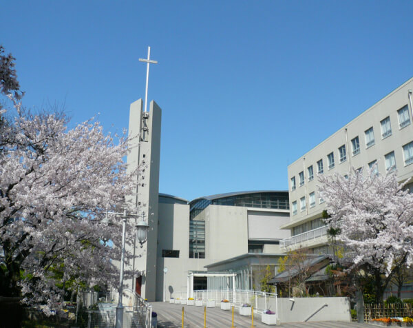 京都大学