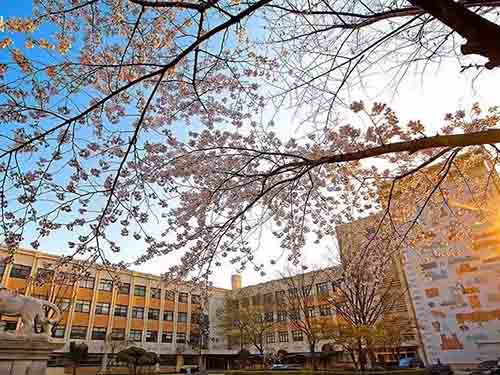 韩国留学|韩国大学