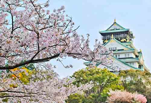 日本留学读研费用