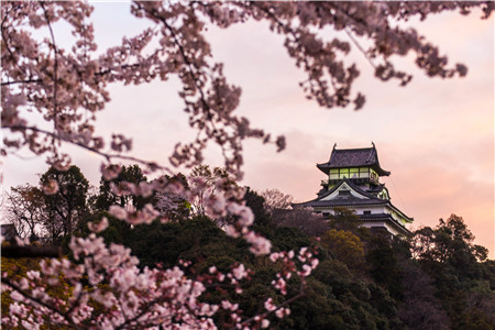 日元不断贬值，现在去日本留学学费竟然相当于打75折？