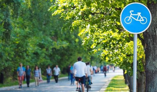 加拿大蒙特利尔大学