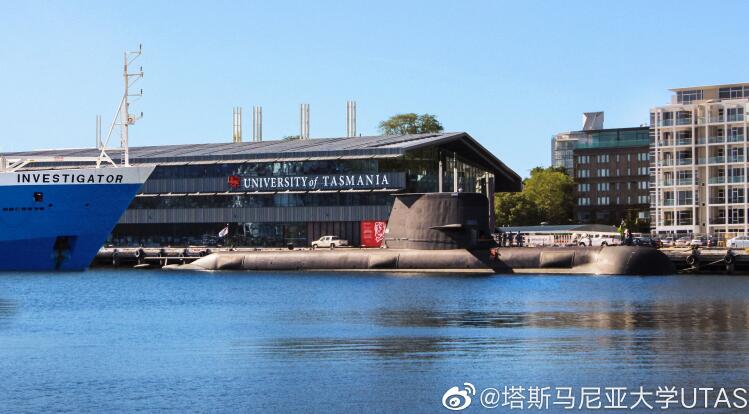 塔斯马尼亚大学
