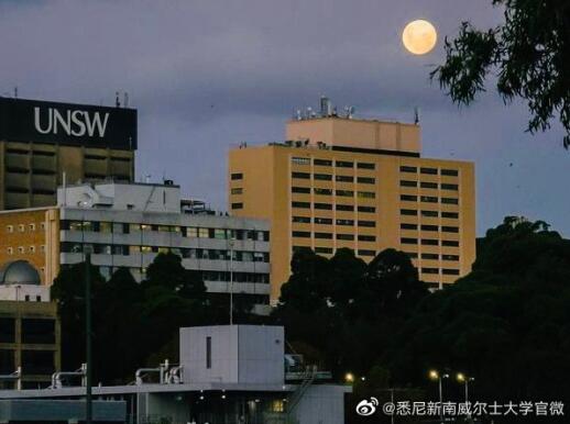 2024QS世界学科排名来啦，新南威尔士大学UNSW十个全澳第一！