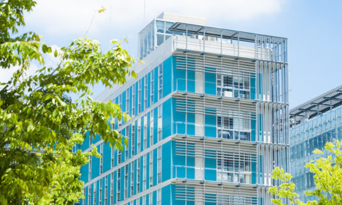 东京大学校园风采