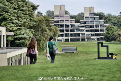 东安格利亚大学相当于国内什么大学？排名、学科与就业深度对比