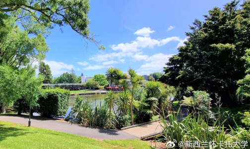 新西兰怀卡托大学怎么样？相当于国内什么大学？