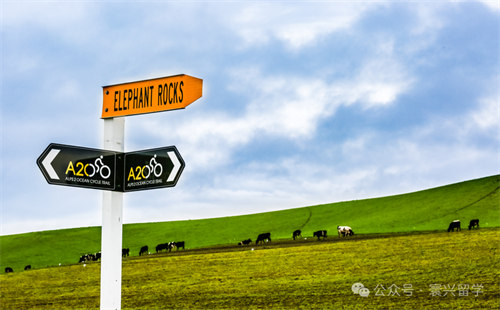 新西兰本科预科真相：不是语言班！是直通新西兰八大的“黄金跳板”！