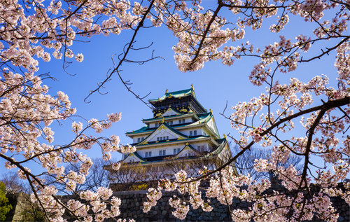 2026年日本语言学校申请倒计时：10月生名额告急，抢占末班车攻略