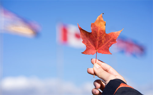 加拿大名校直通车：高考后凭双录取，抢先入读国际大一，不用等一年！
