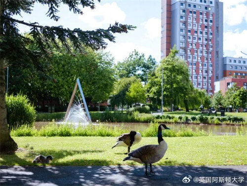 大专学历别慌！阿斯顿大学伦敦校区新增专升本，一年拿下英国本科！