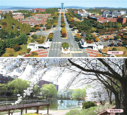 韩国大邱大学2026年本硕博申请攻略：专升本可插读大三大四，中韩双语授课，零韩语可申！
