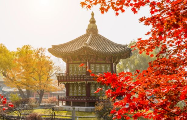 韩国留学