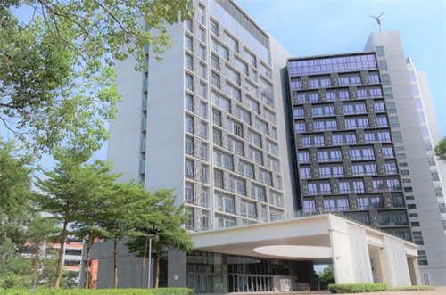 香港THEi高科院新开城市林务理学硕士，27年春季入学，中文授课免雅思，跨专业可申!